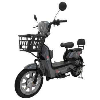 Электроскутер Сянчу SK8 R16 Серый
