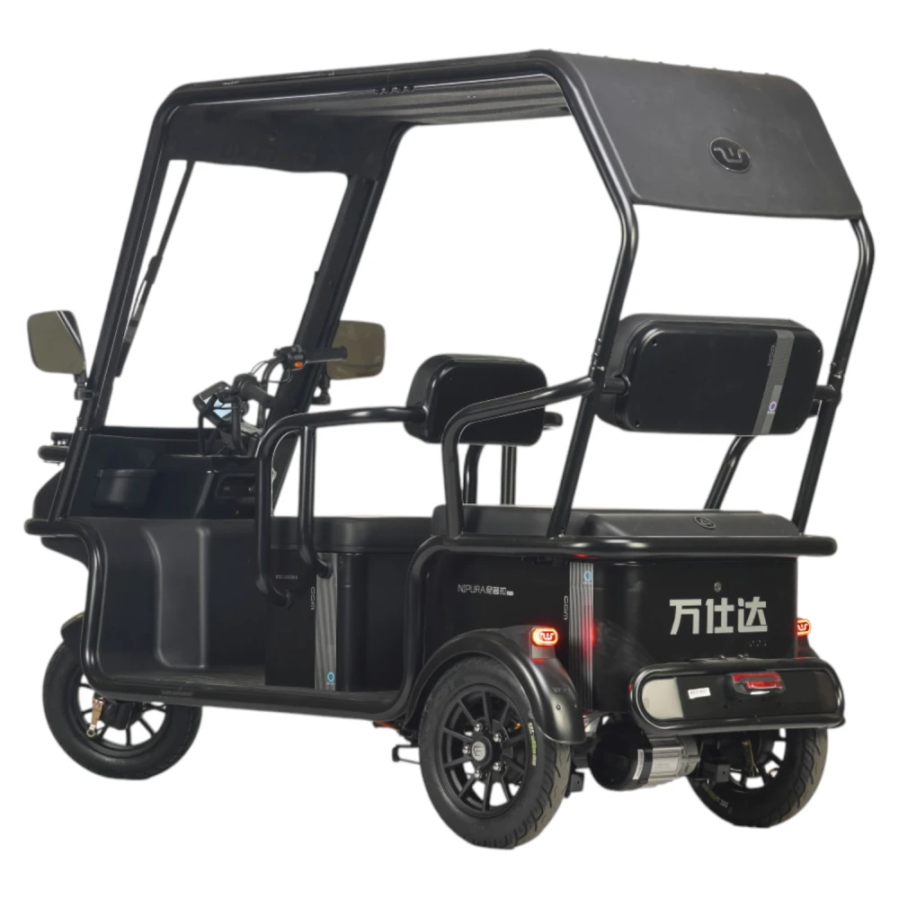 Электротрицикл Wanshida NIPLA 570 60V 1000Вт 1