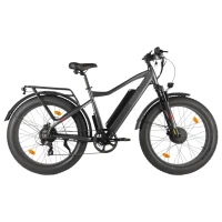 Электровелосипед Eltreco BigCat Dual Next Чёрный-матовый